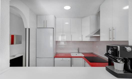 Bestaand - Appartement - Torrevieja