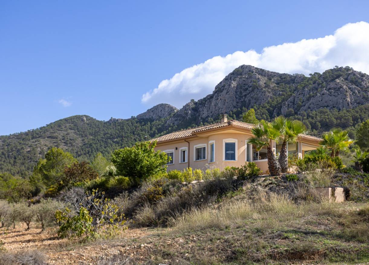Bestaand - Independent villa - La Zarza - La Zarza Murcia