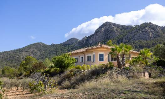 Bestaand - Independent villa - La Zarza - La Zarza Murcia