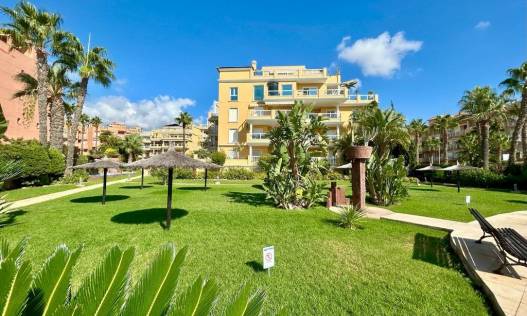 Bestaand - Penthouse - Orihuela Costa - Aguamarina