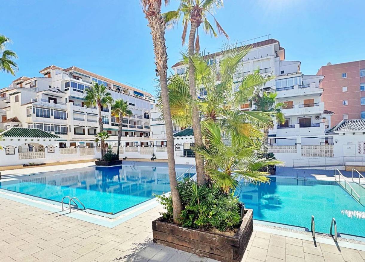 Bestaand - Appartement - Torrevieja