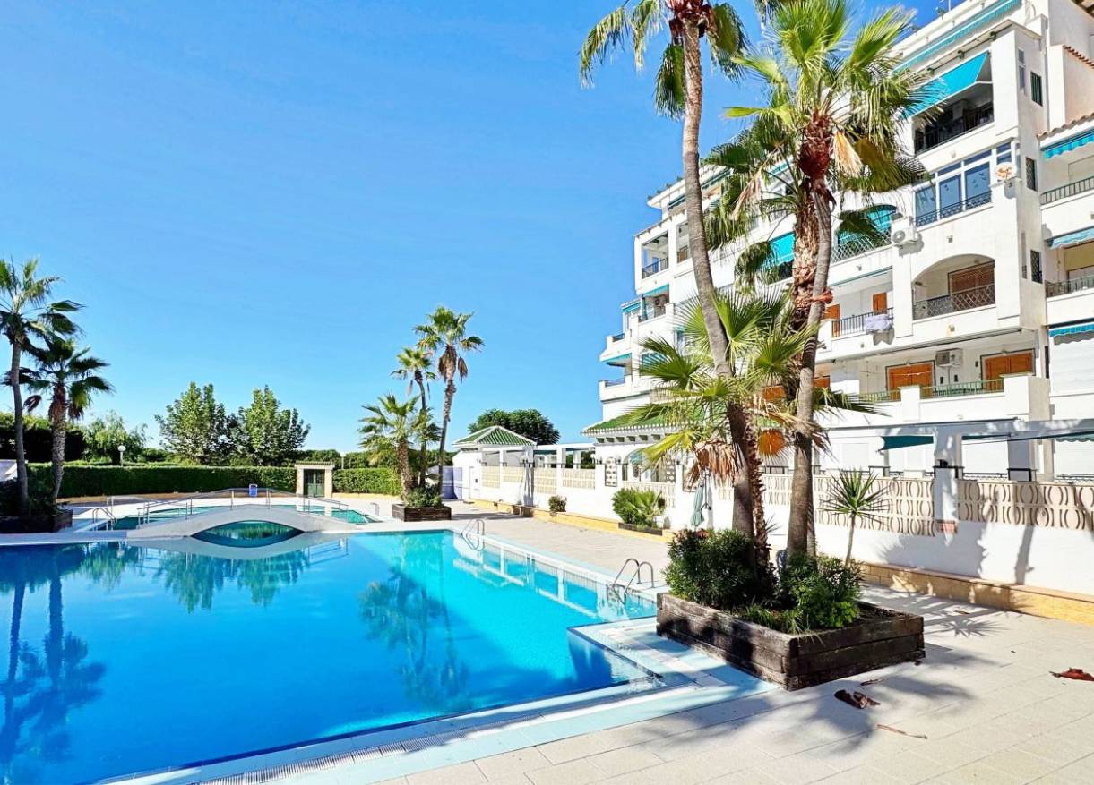 Bestaand - Appartement - Torrevieja