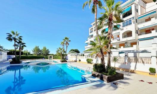 Bestaand - Appartement - Torrevieja