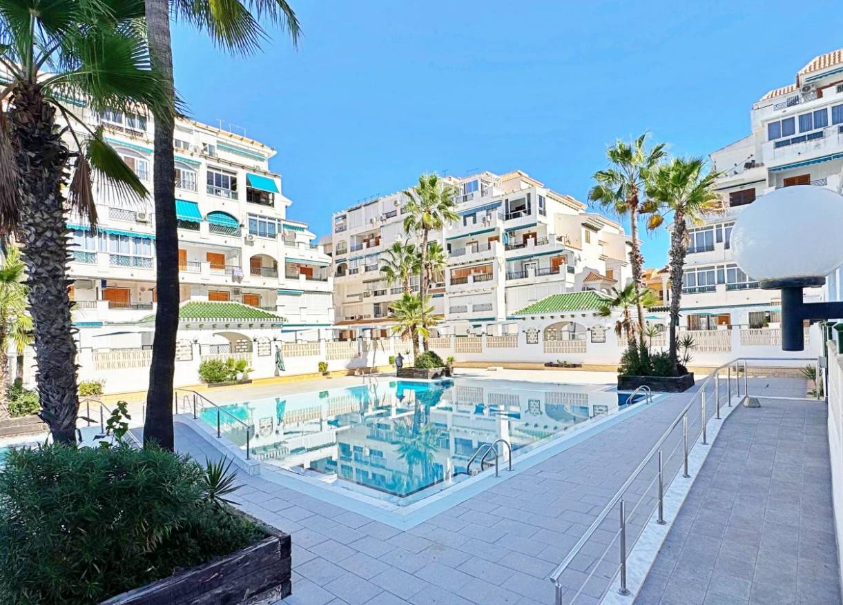 Bestaand - Appartement - Torrevieja