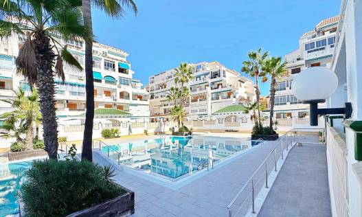 Bestaand - Appartement - Torrevieja