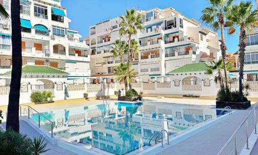 Bestaand - Appartement - Torrevieja