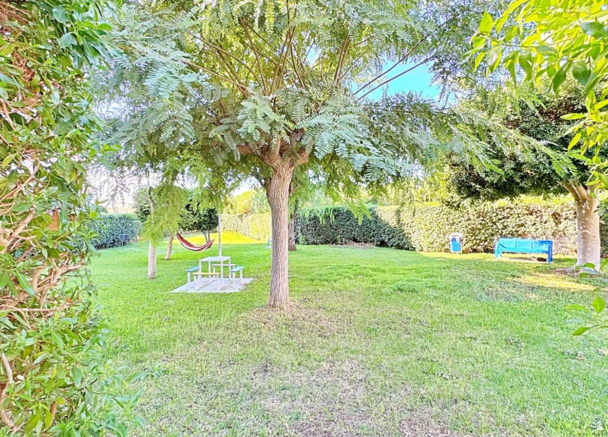 Bestaand - Appartement - Torrevieja