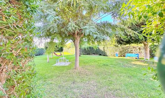 Bestaand - Appartement - Torrevieja