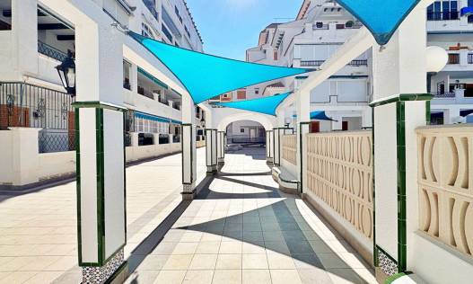 Bestaand - Appartement - Torrevieja