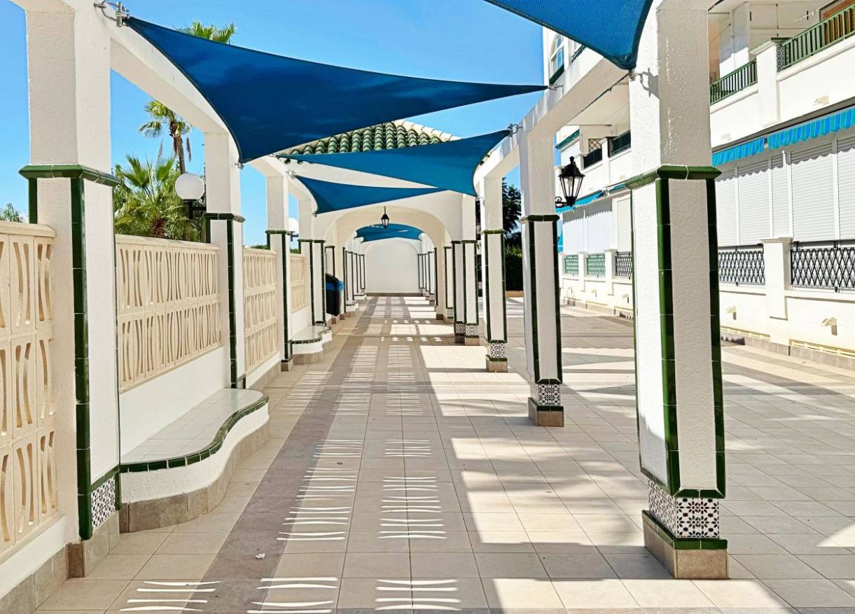 Bestaand - Appartement - Torrevieja