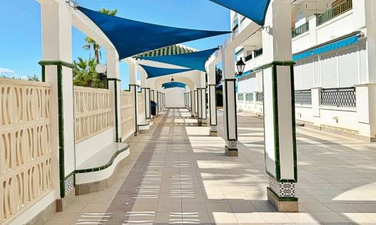 Bestaand - Appartement - Torrevieja