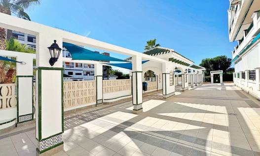 Bestaand - Appartement - Torrevieja