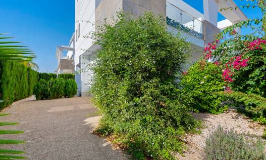 Bestaand - Townhouse / Semi-detached - Ciudad Quesada - Doña Pepa