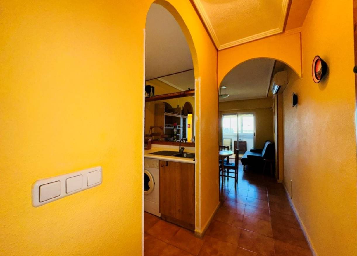 Bestaand - Appartement - La Mata - Puerto Romano