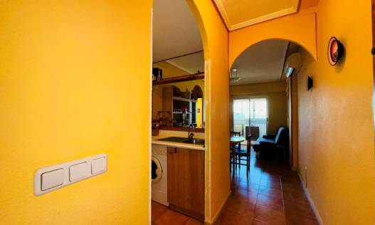 Bestaand - Appartement - La Mata - Puerto Romano
