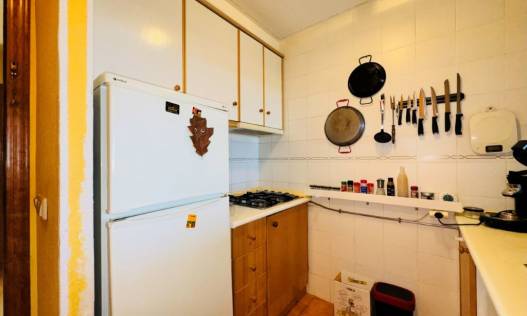 Bestaand - Appartement - La Mata - Puerto Romano