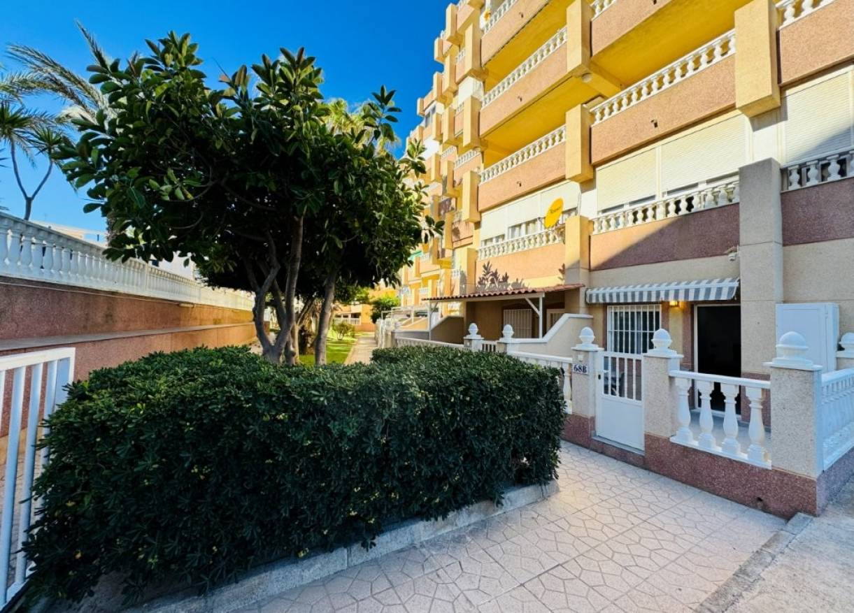 Bestaand - Appartement - La Mata - Alanis