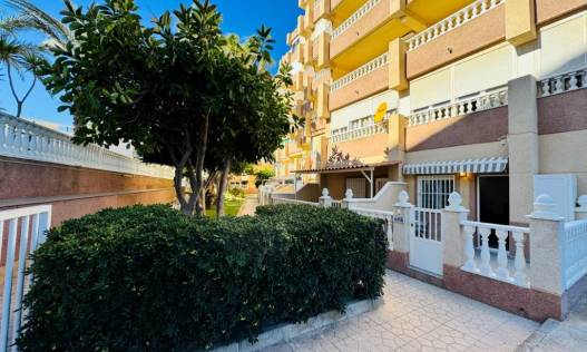 Bestaand - Appartement - La Mata - Alanis