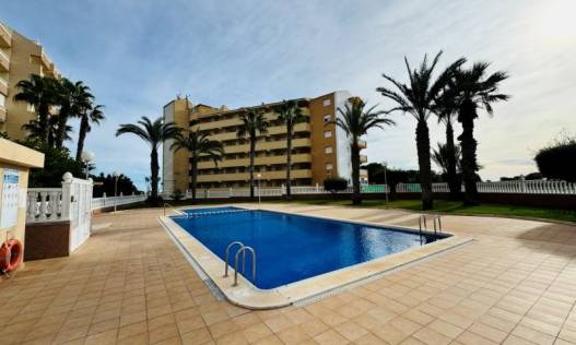 Bestaand - Appartement - La Mata - Alanis