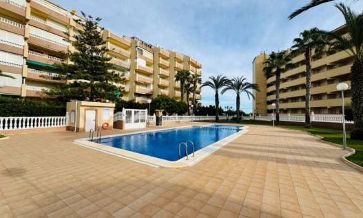 Bestaand - Appartement - La Mata - Alanis