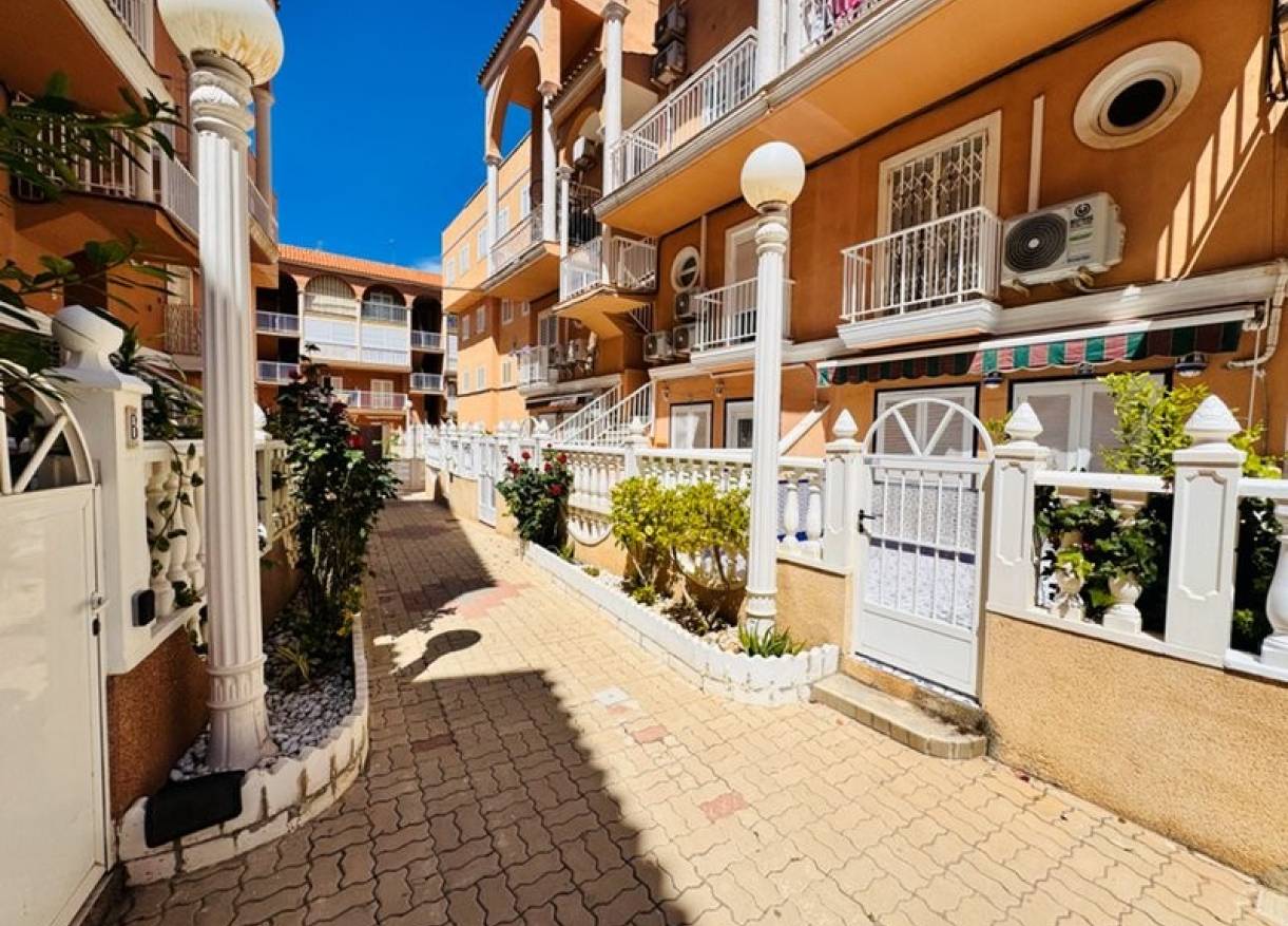 Bestaand - Townhouse / Semi-detached - La Mata - Puerto Romano