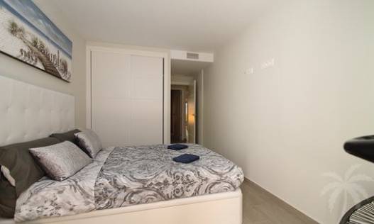 Vakantie verhuur - Appartement - Torrevieja