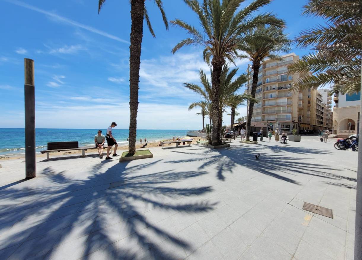 Vakantie verhuur - Appartement - Torrevieja