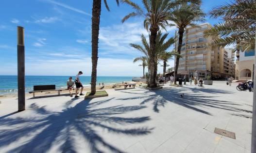 Vakantie verhuur - Appartement - Torrevieja