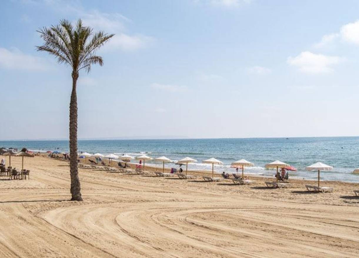 Nieuwbouw - Penthouse - Guardamar del segura - Pueblo