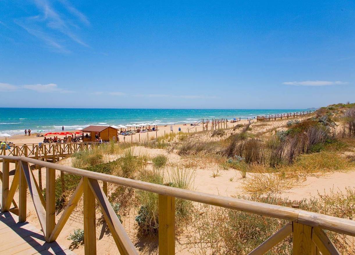 Nieuwbouw - Penthouse - Guardamar del segura - Pueblo