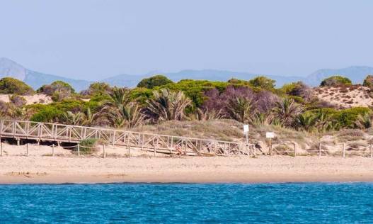 Nieuwbouw - Penthouse - Guardamar del segura - Pueblo