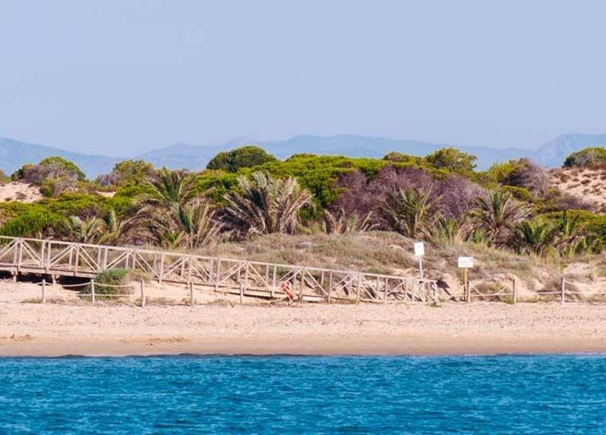 Nieuwbouw - Ground floor apartment - Guardamar del segura - Pueblo