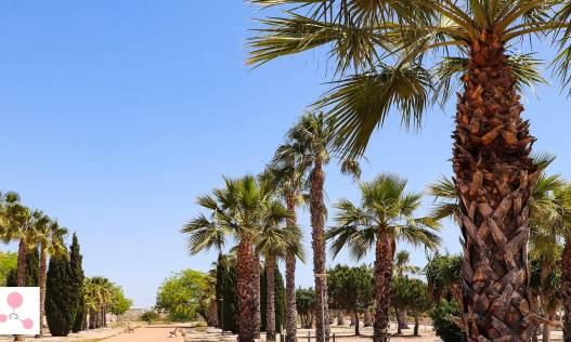 Nieuwbouw - Villa - San Fulgencio - La Escuera