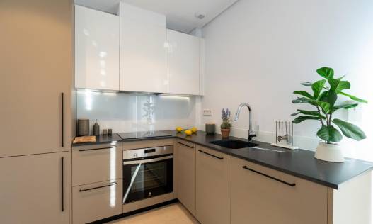 Nieuwbouw - Semidetached - La Marina - El Pinet