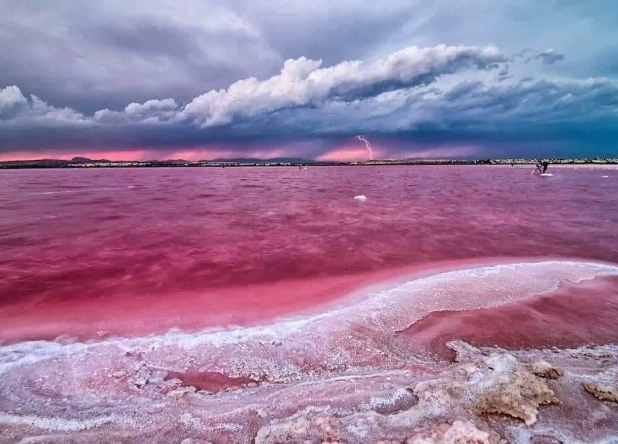 Nieuwbouw - Penthouse - Torrevieja