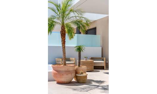 Nieuwbouw - Townhouse / Semi-detached - Dolores - Sector 3