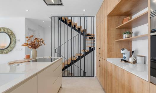 Nieuwbouw - Townhouse / Semi-detached - Dolores - Sector 3