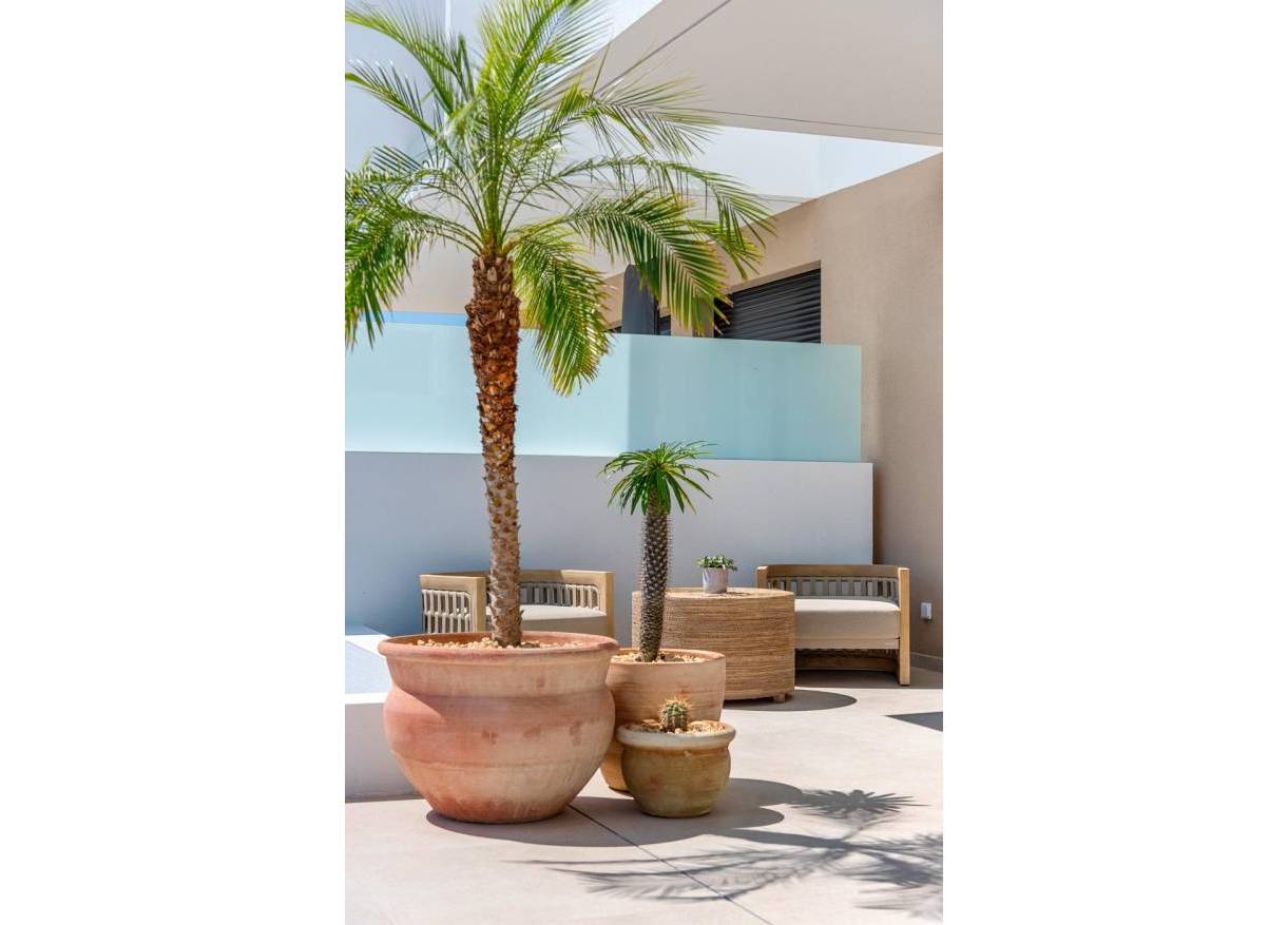 Nieuwbouw - Townhouse / Semi-detached - Dolores - Sector 3