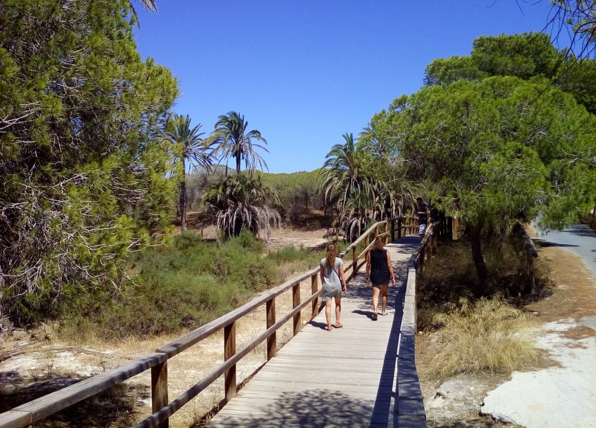 Vakantie verhuur - Townhouse / Semi-detached - Orihuela Costa