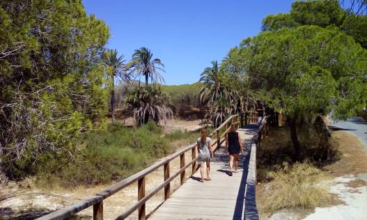 Vakantie verhuur - Townhouse / Semi-detached - Orihuela Costa