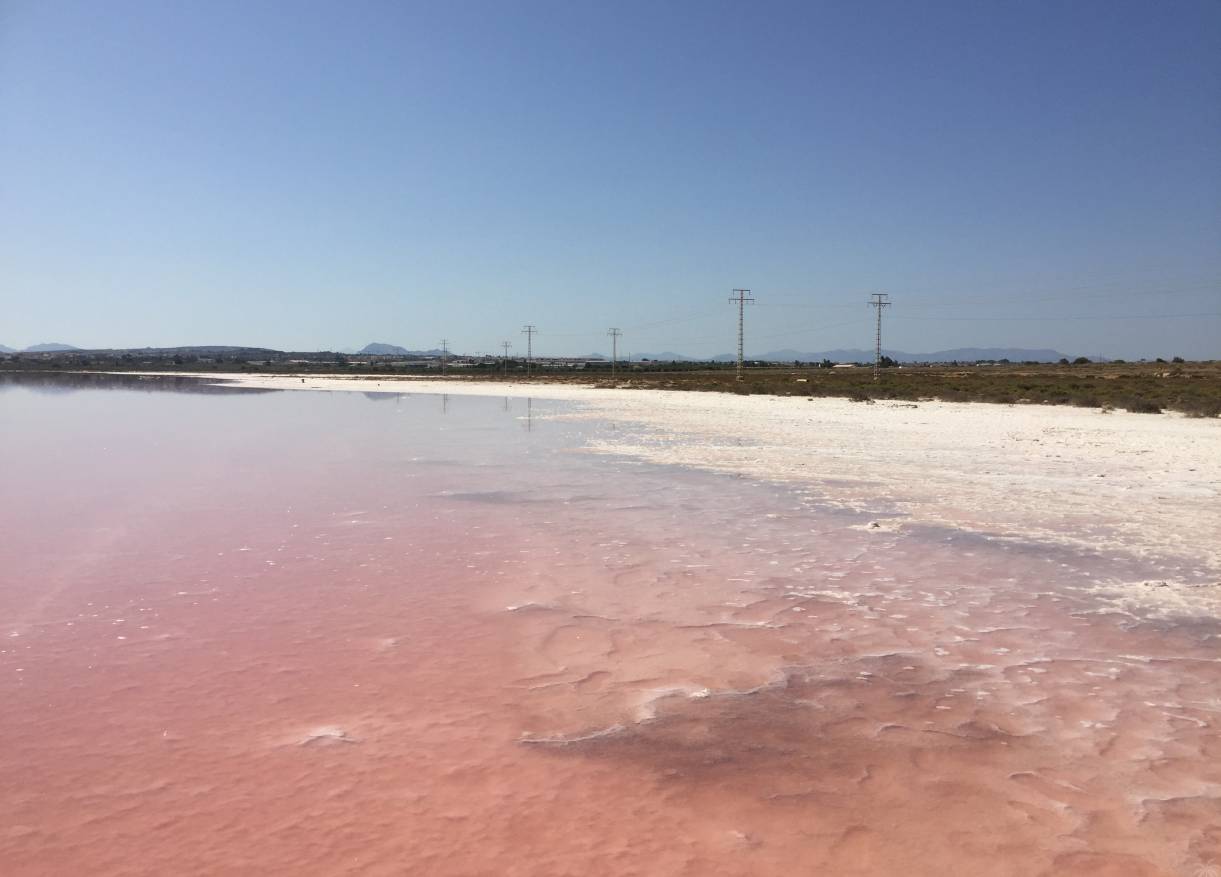 Vakantie verhuur - Townhouse / Semi-detached - Orihuela Costa