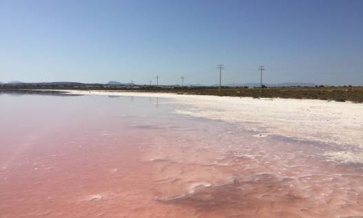 Vakantie verhuur - Townhouse / Semi-detached - Orihuela Costa