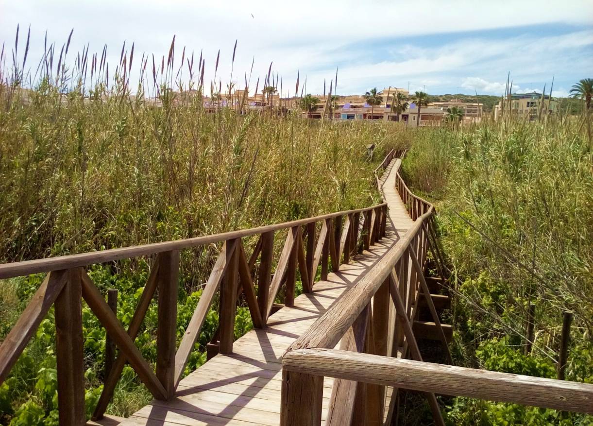 Vakantie verhuur - Townhouse / Semi-detached - Orihuela Costa