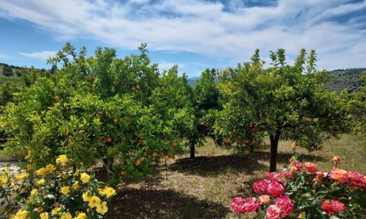 Bestaand - Villa - Tolox