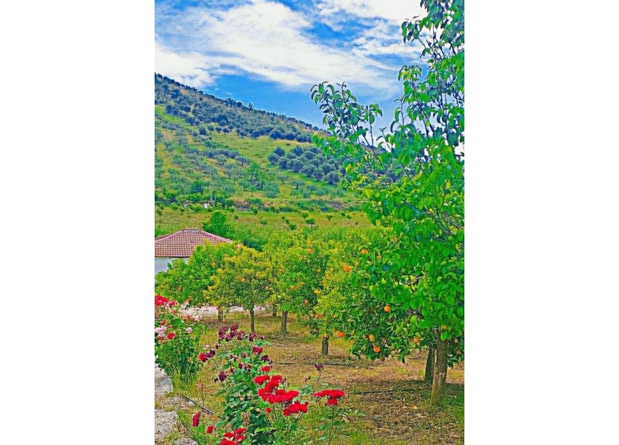 Bestaand - Villa - Tolox