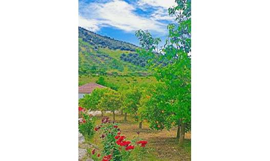 Bestaand - Villa - Tolox