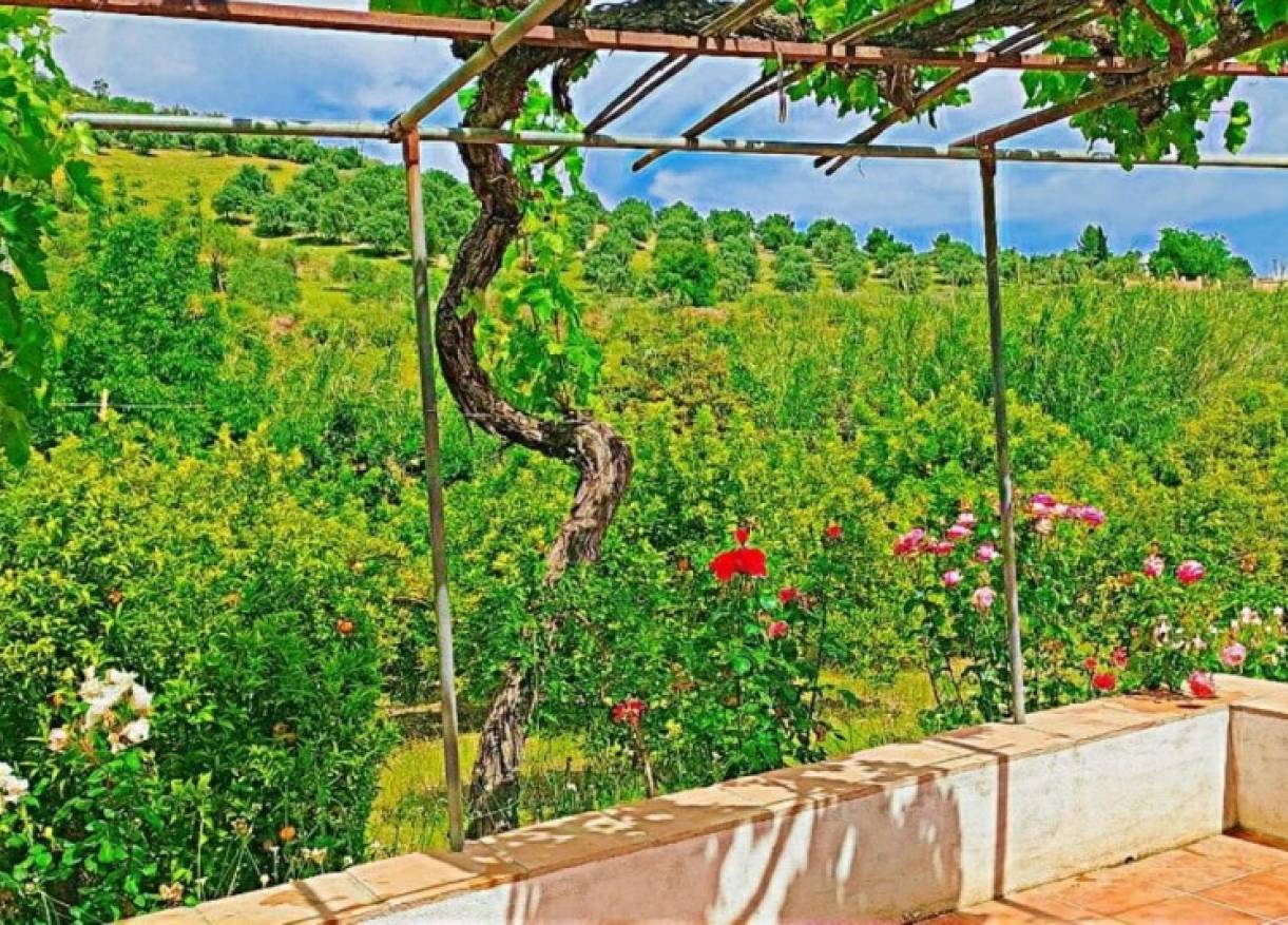 Bestaand - Villa - Tolox