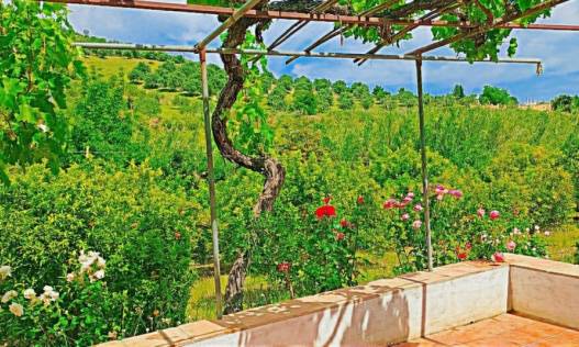 Bestaand - Villa - Tolox