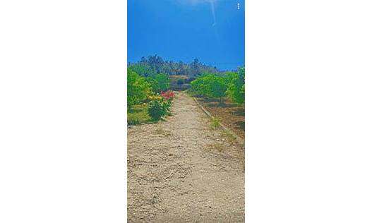 Bestaand - Villa - Tolox