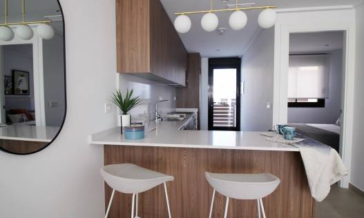 Nieuwbouw - Townhouse / Semi-detached - Pilar de la Horadada - parque Andromeda